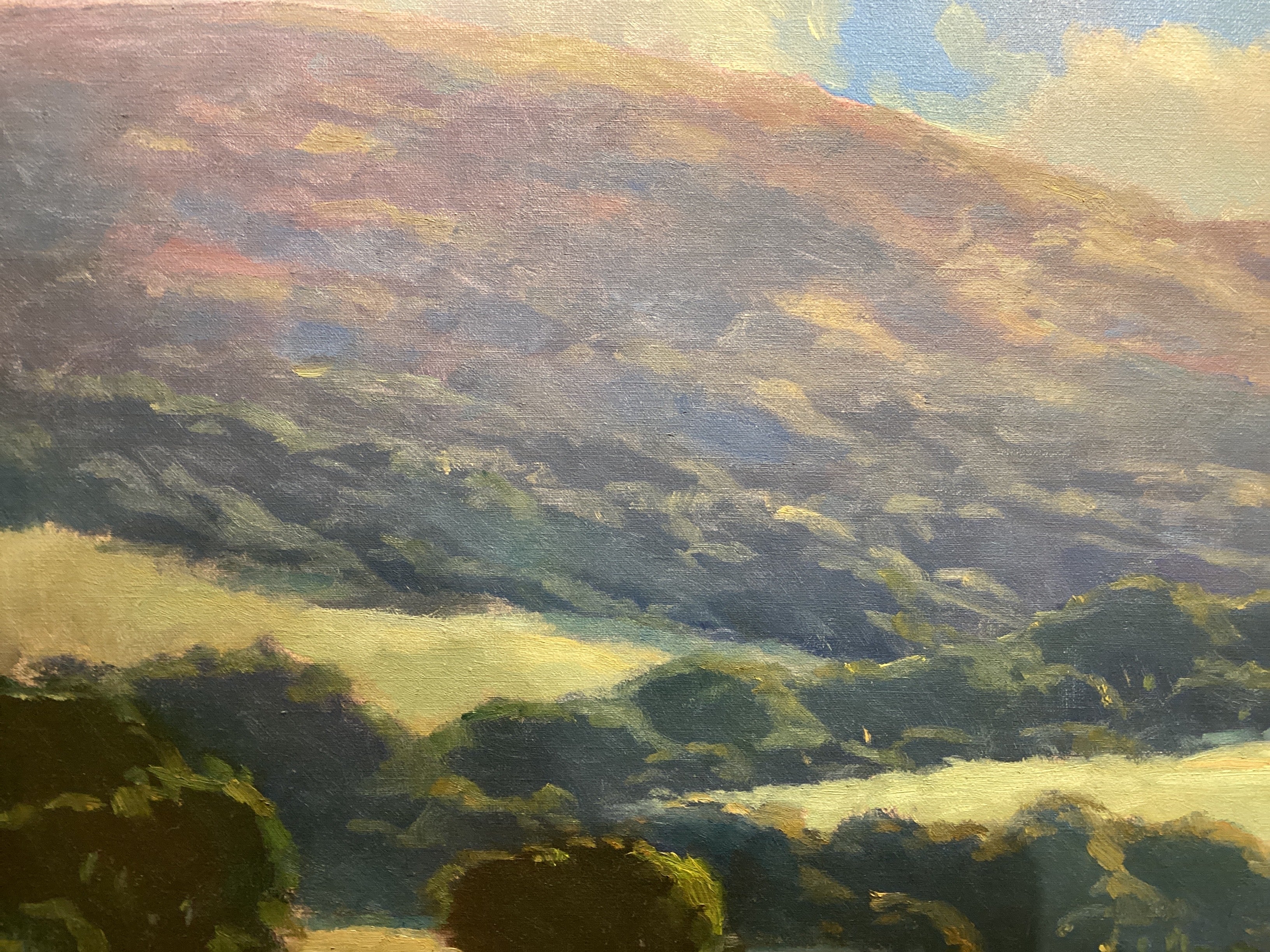 "Summer Dream" - Mark Tougias