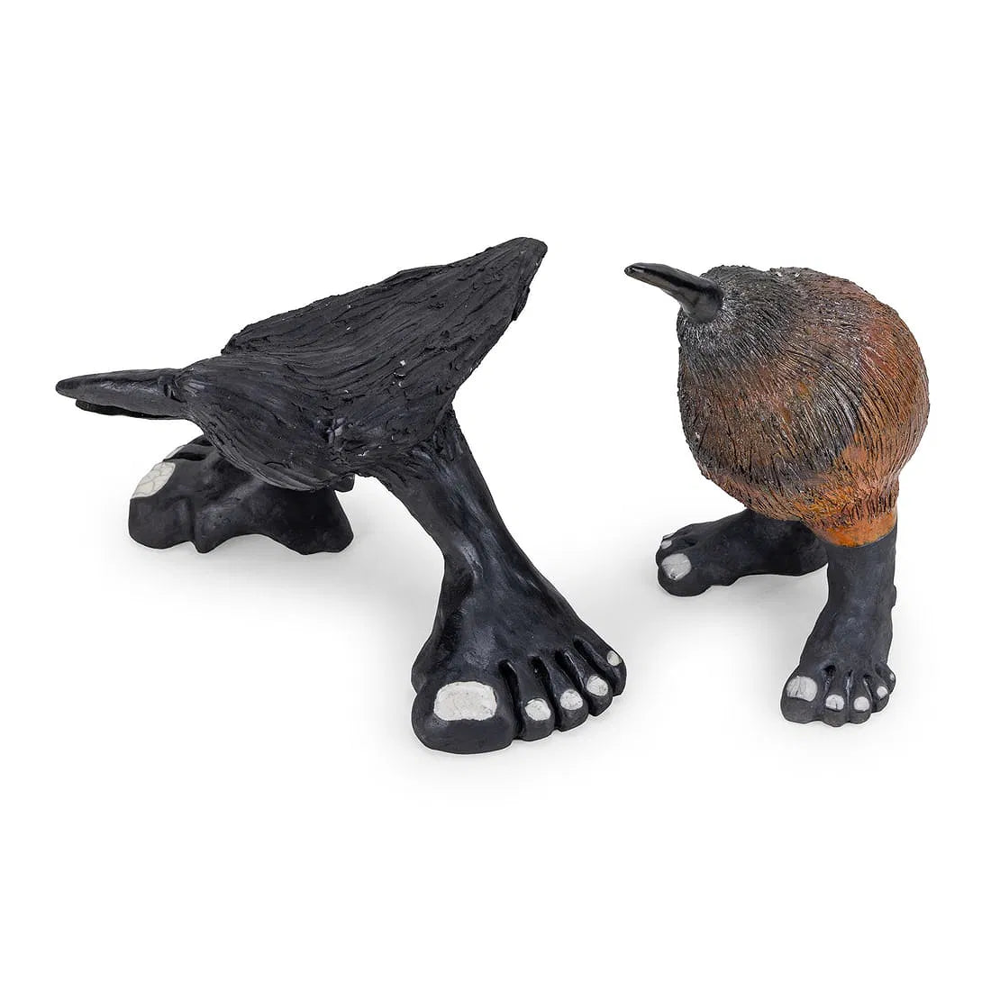 Kiwi and Crow