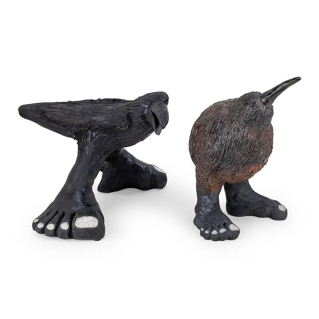Kiwi and Crow