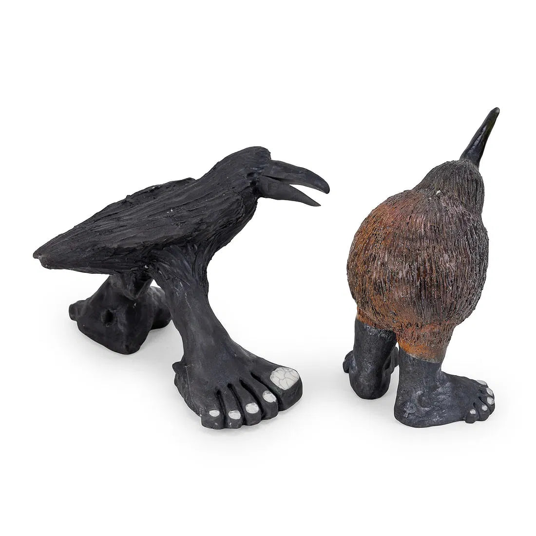 Kiwi and Crow