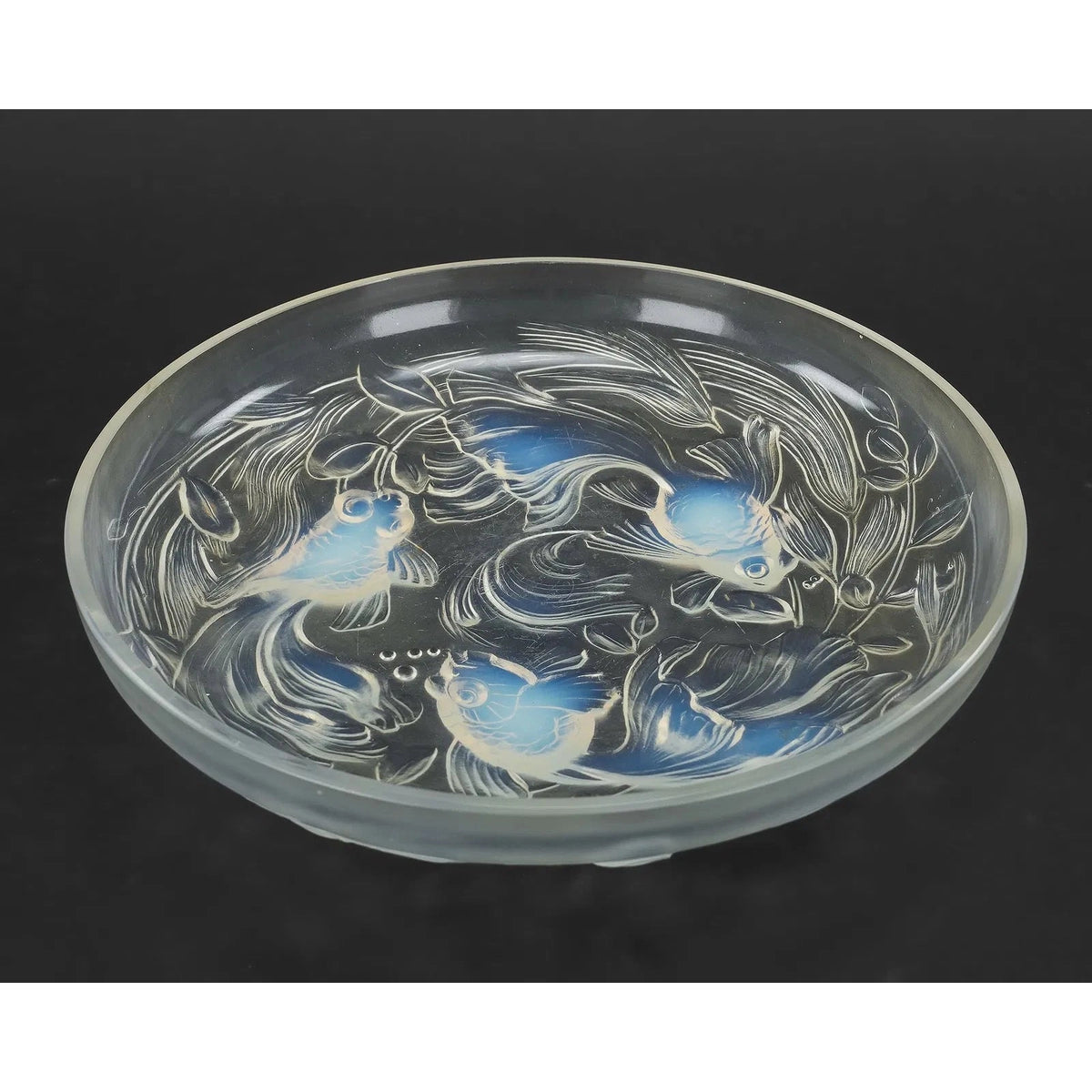 Goldfish Bowl