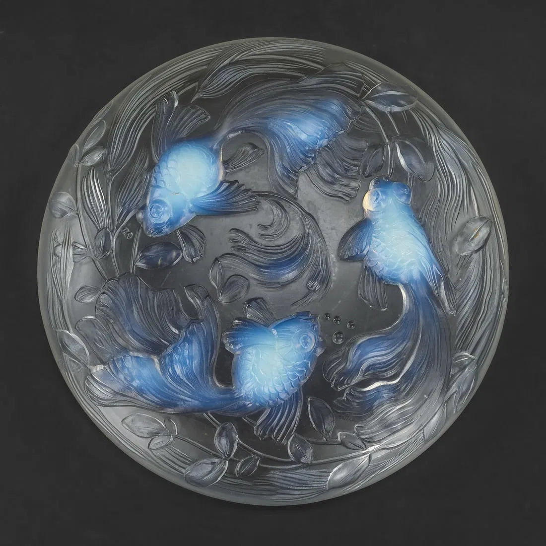 Goldfish Bowl