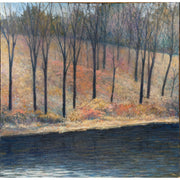 "Walden Shore" - Gary Hamel