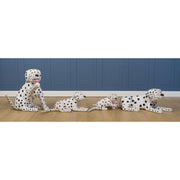 Dalmation Family - Pucho Odio