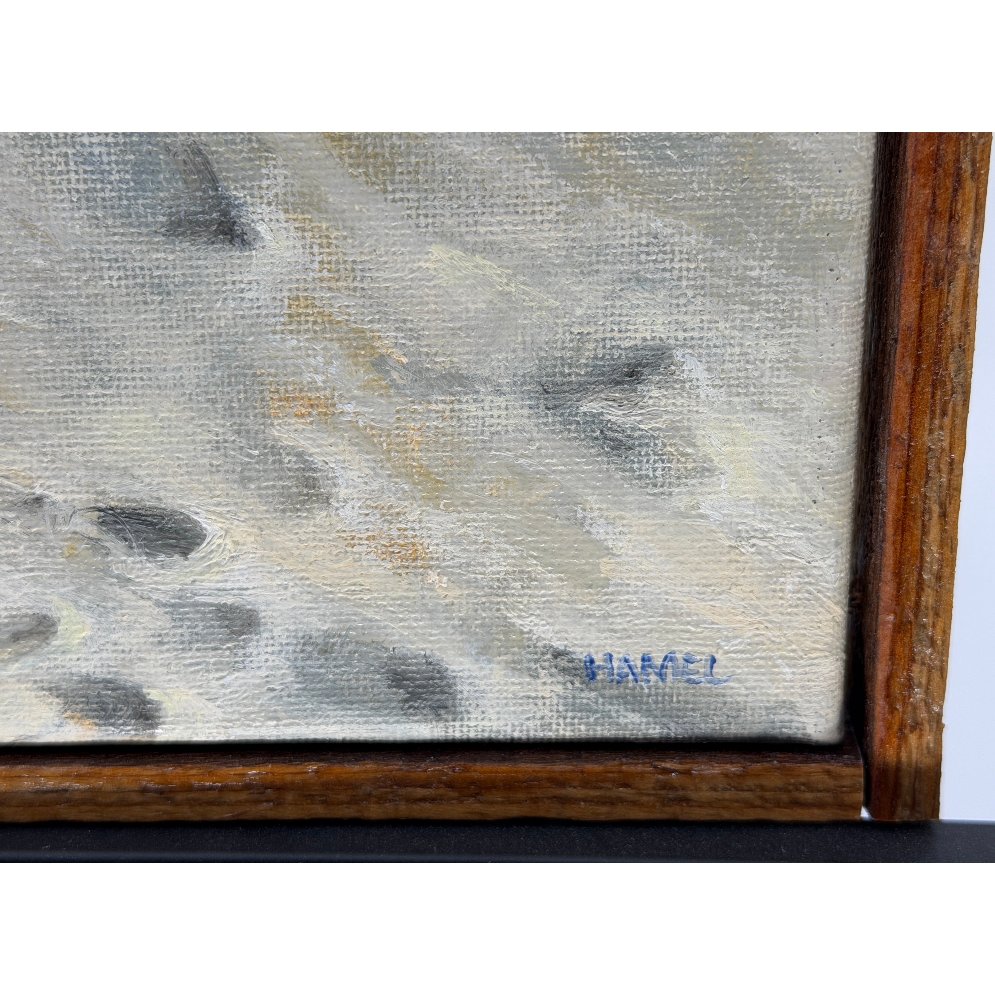 "Footprints, Plum Island" - Gary Hamel
