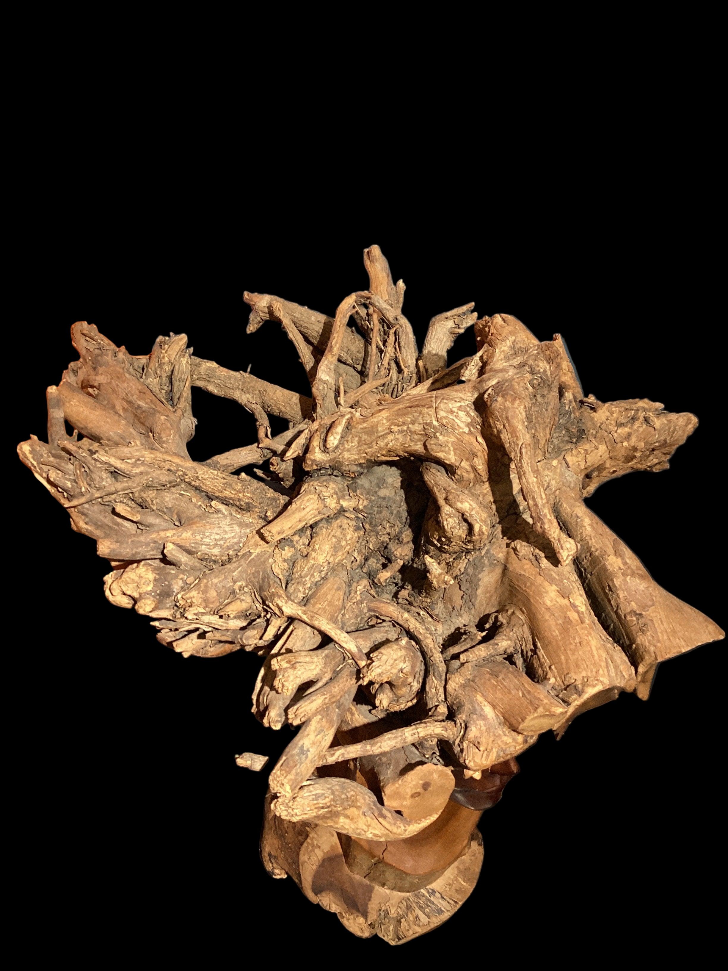 "Pele" - Paul Fujimoto