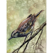 "Meadowlark" - Anne Leskovar