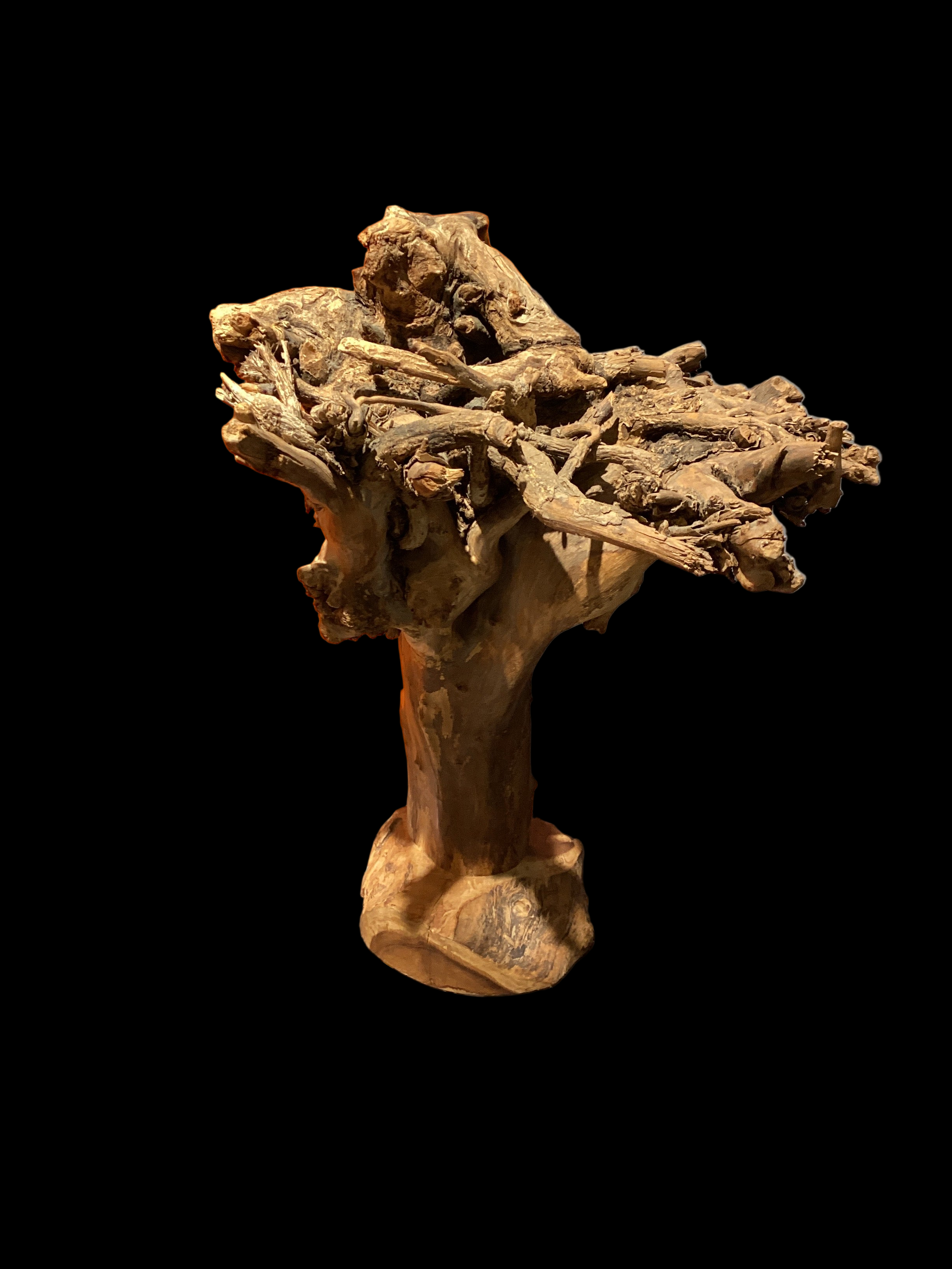 "Pele" - Paul Fujimoto