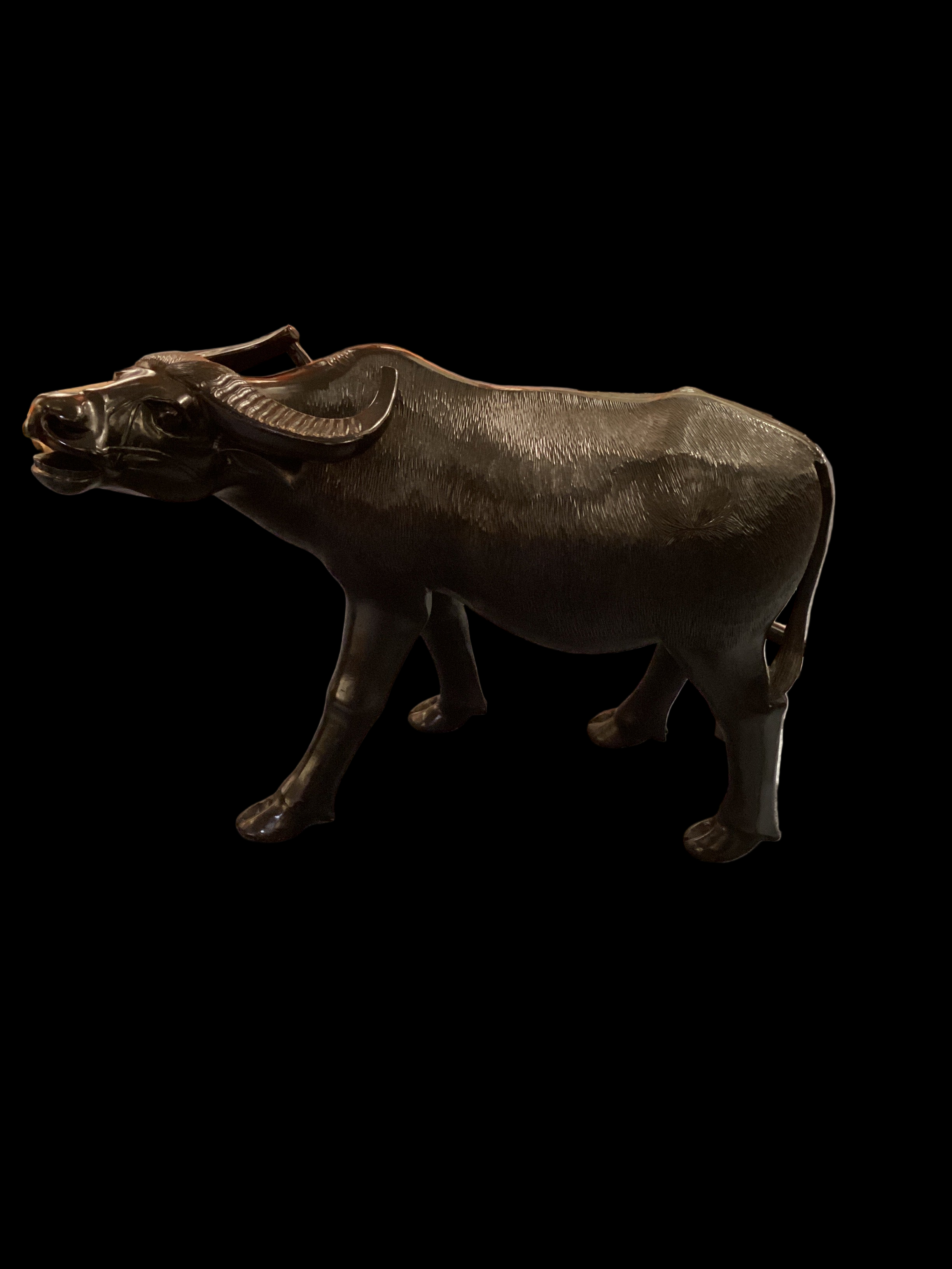 Carabaro Water Buffalo - x2409.20.102