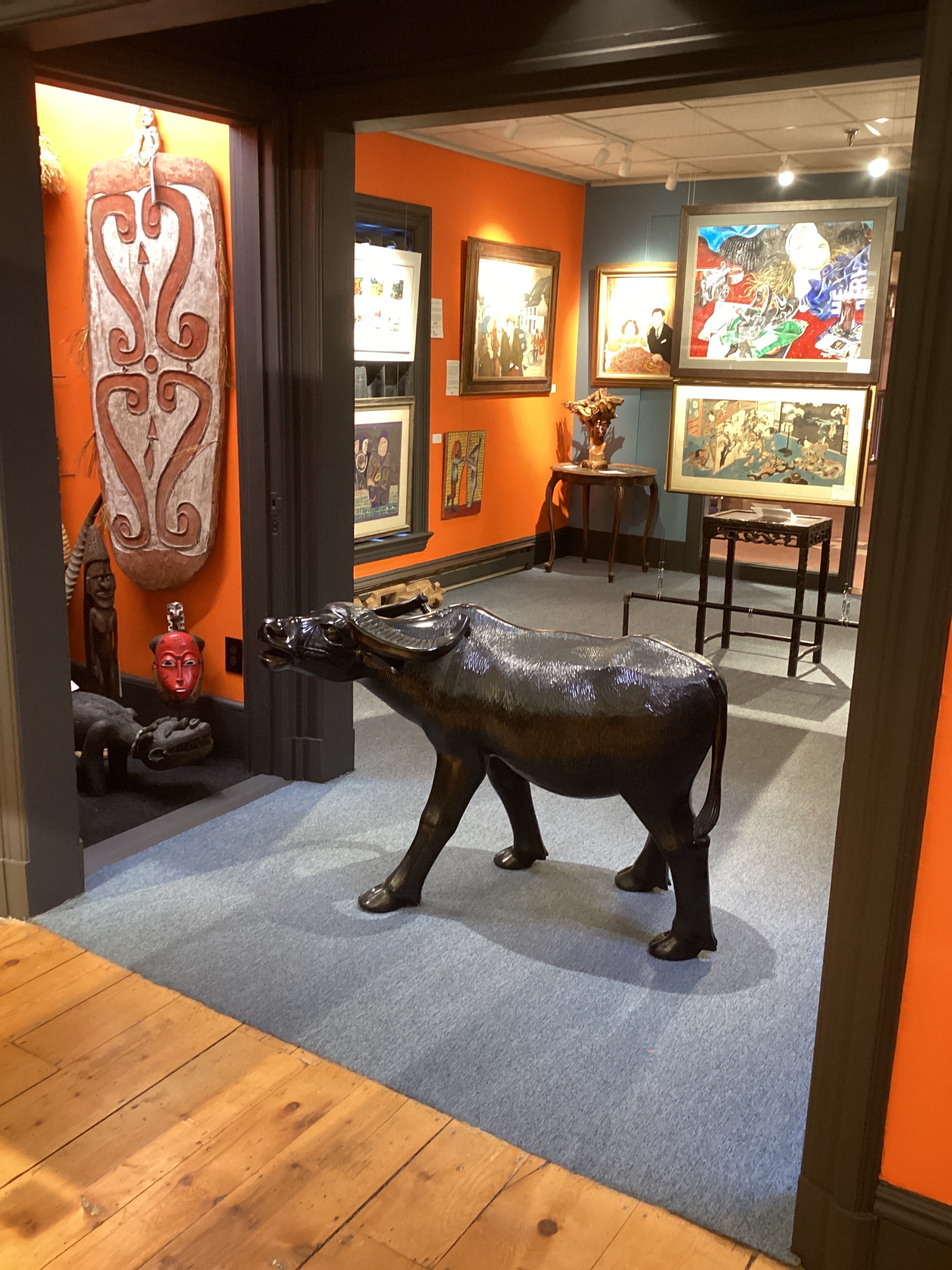 Carabaro Water Buffalo - x2409.20.102