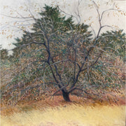 "Autumn Apple" - Gary Hamel