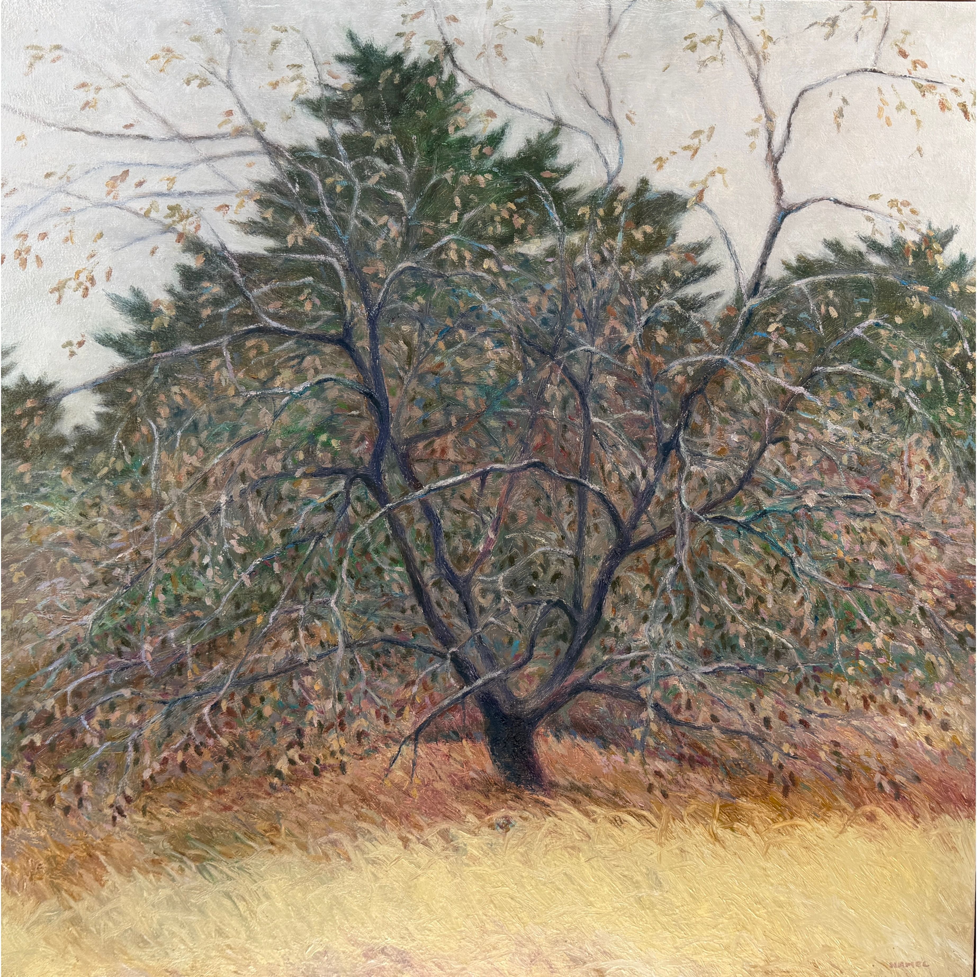 "Autumn Apple" - Gary Hamel