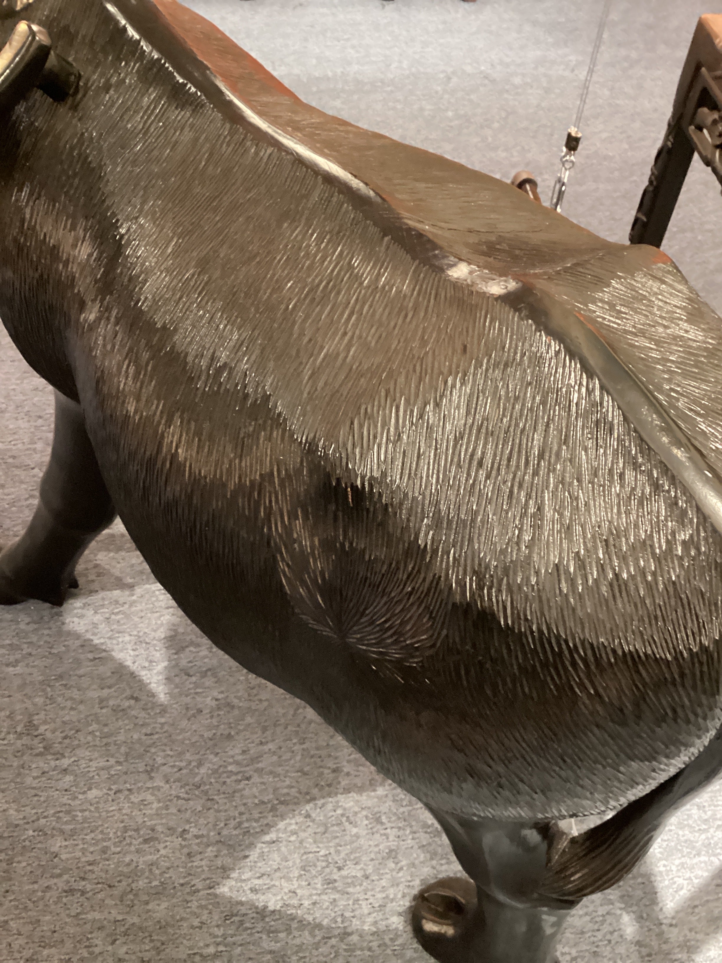 Carabaro Water Buffalo - x2409.20.102