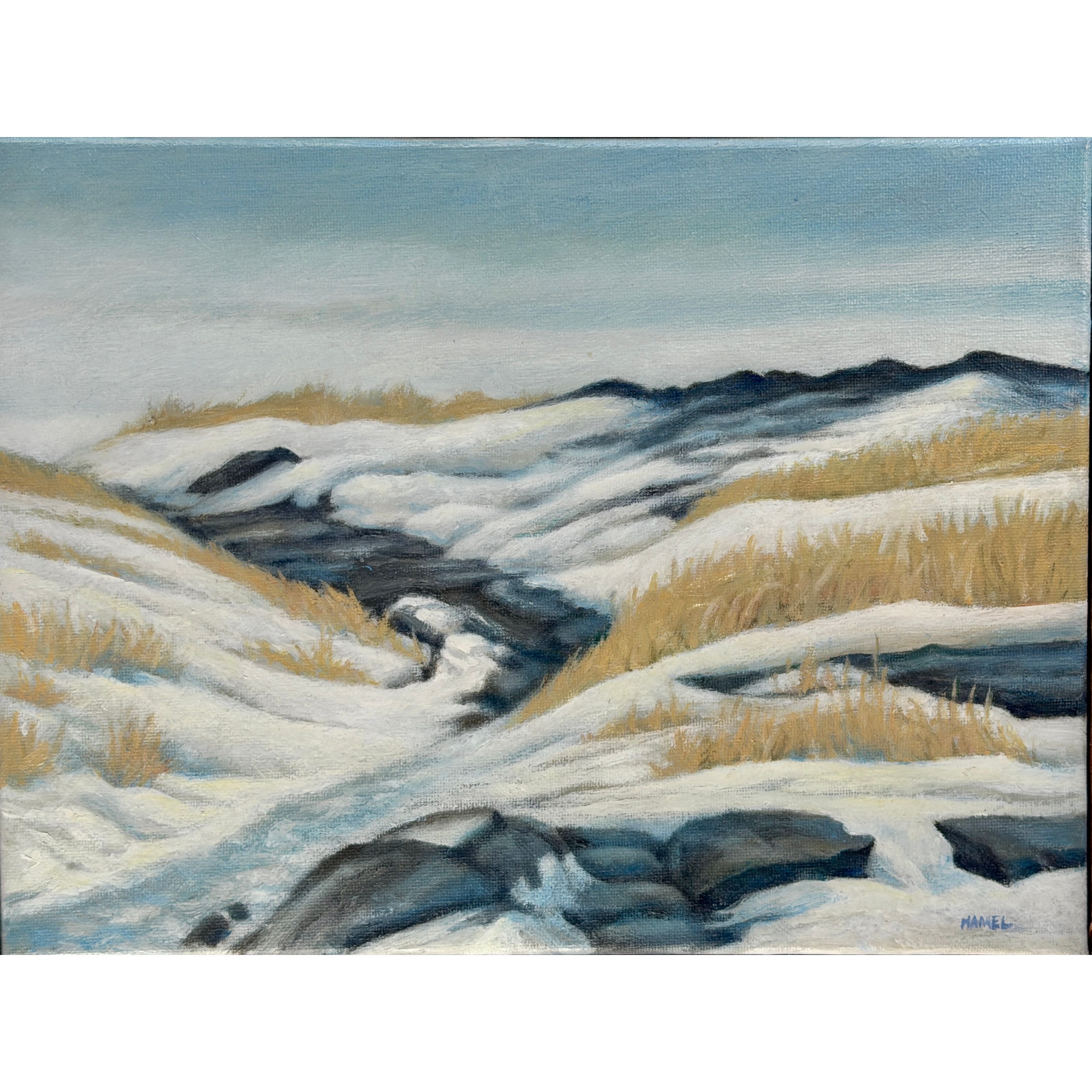 "Ice Storm 2, Cape Elizabeth" - Gary Hamel