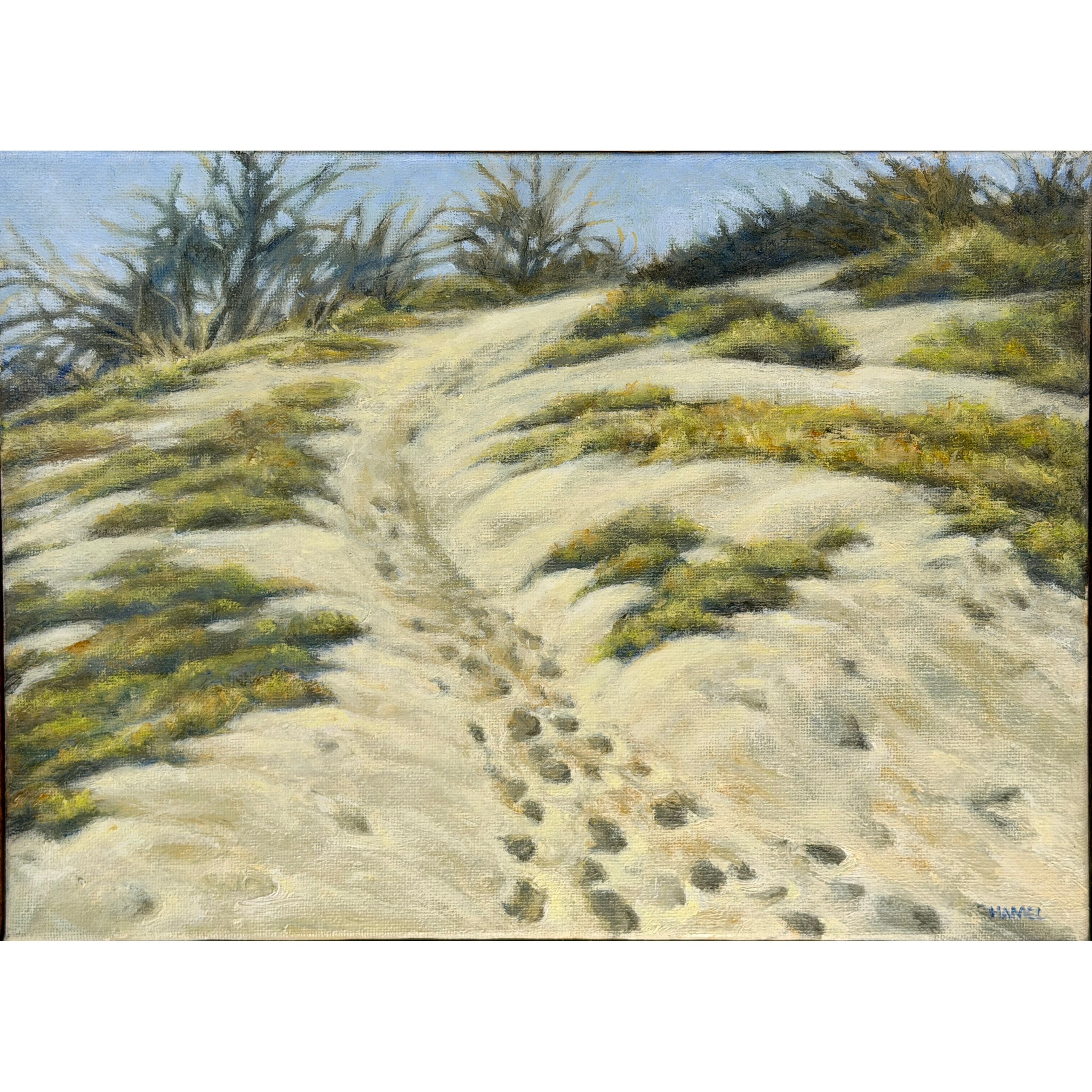"Footprints, Plum Island" - Gary Hamel