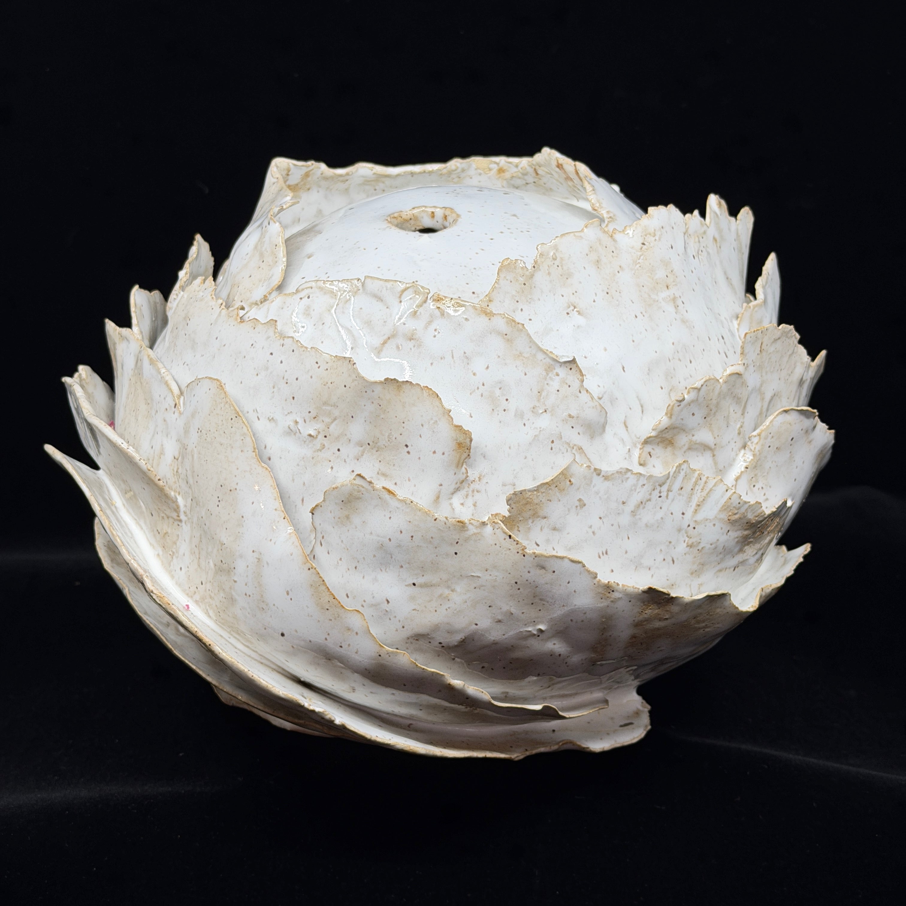 White Lotus