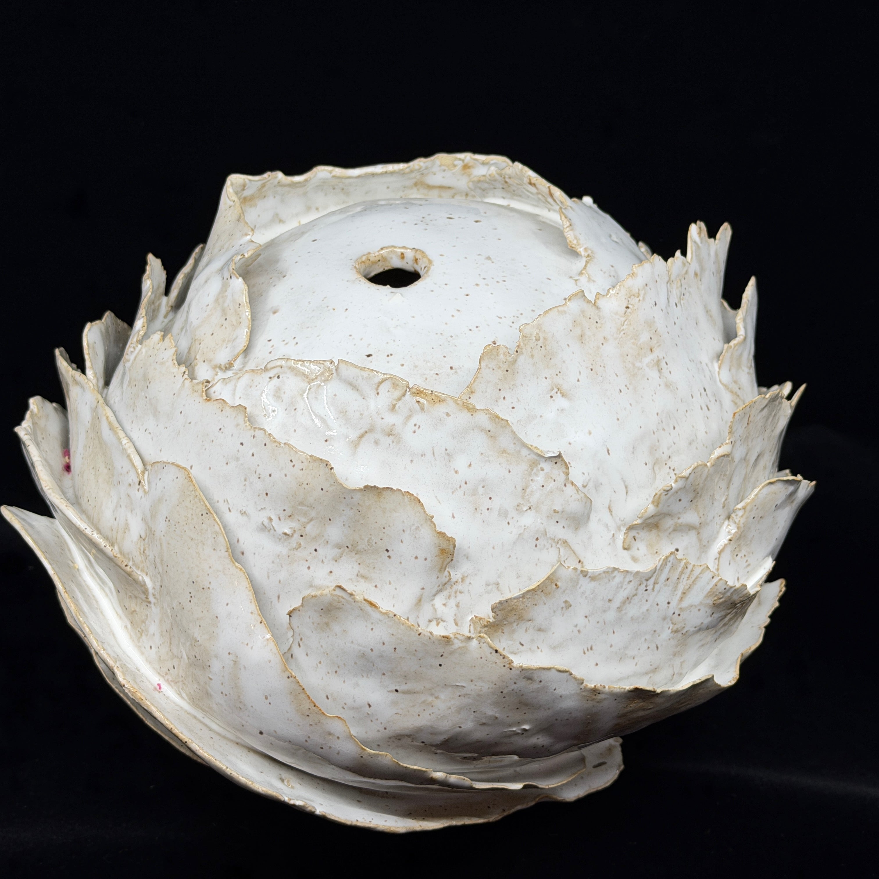 White Lotus