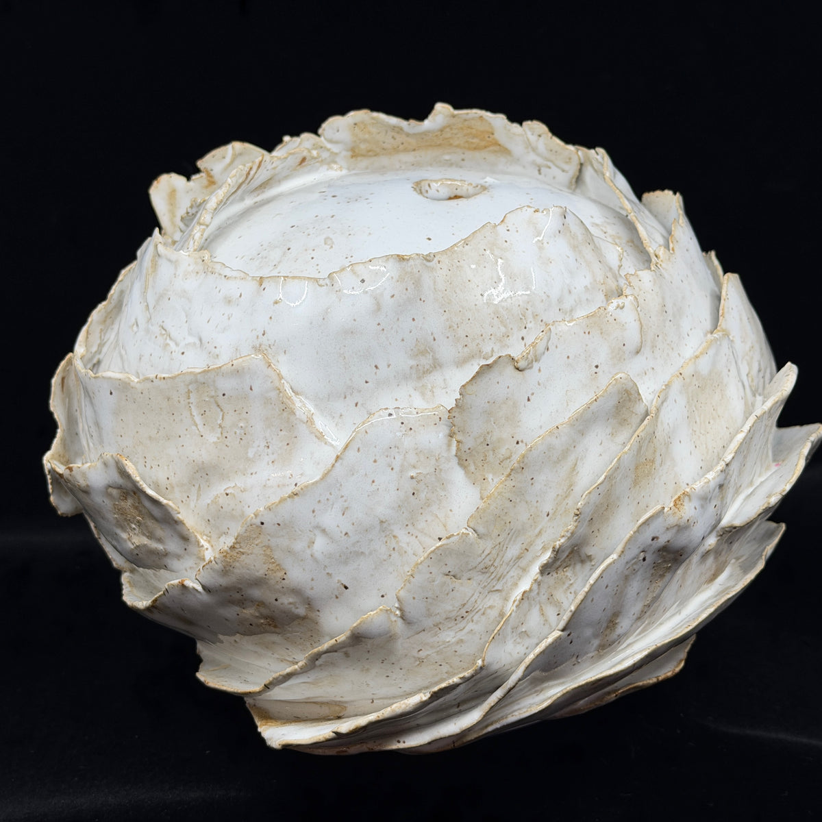White Lotus