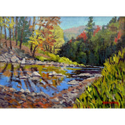"On The Ottauquechee River"