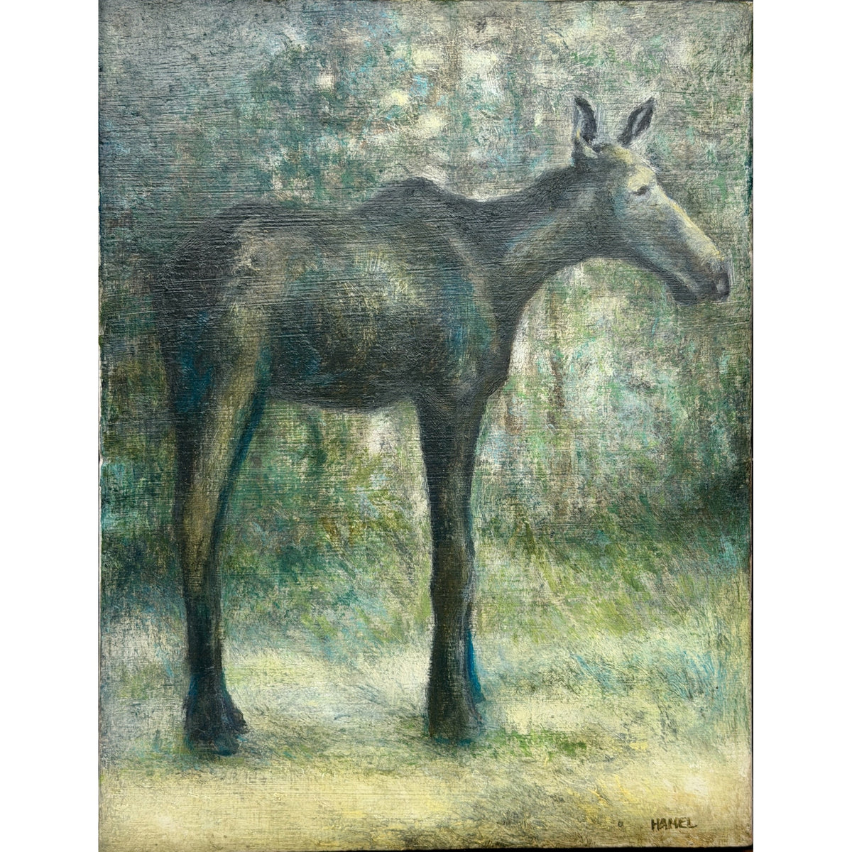 "Moose #1"