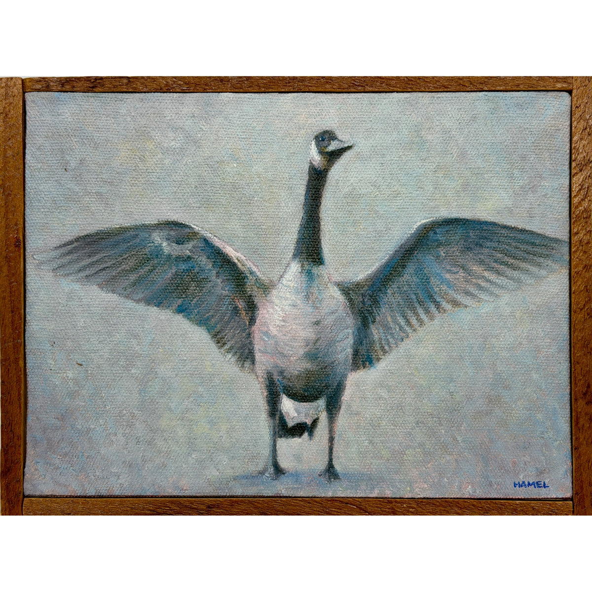 "Canada Goose #3"