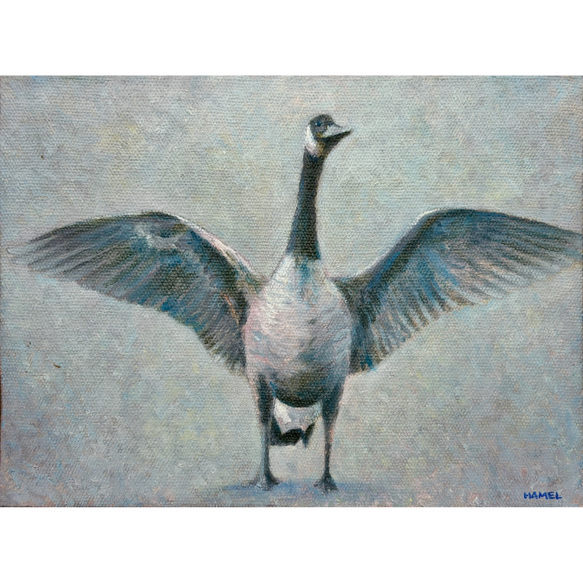 "Canada Goose #3"