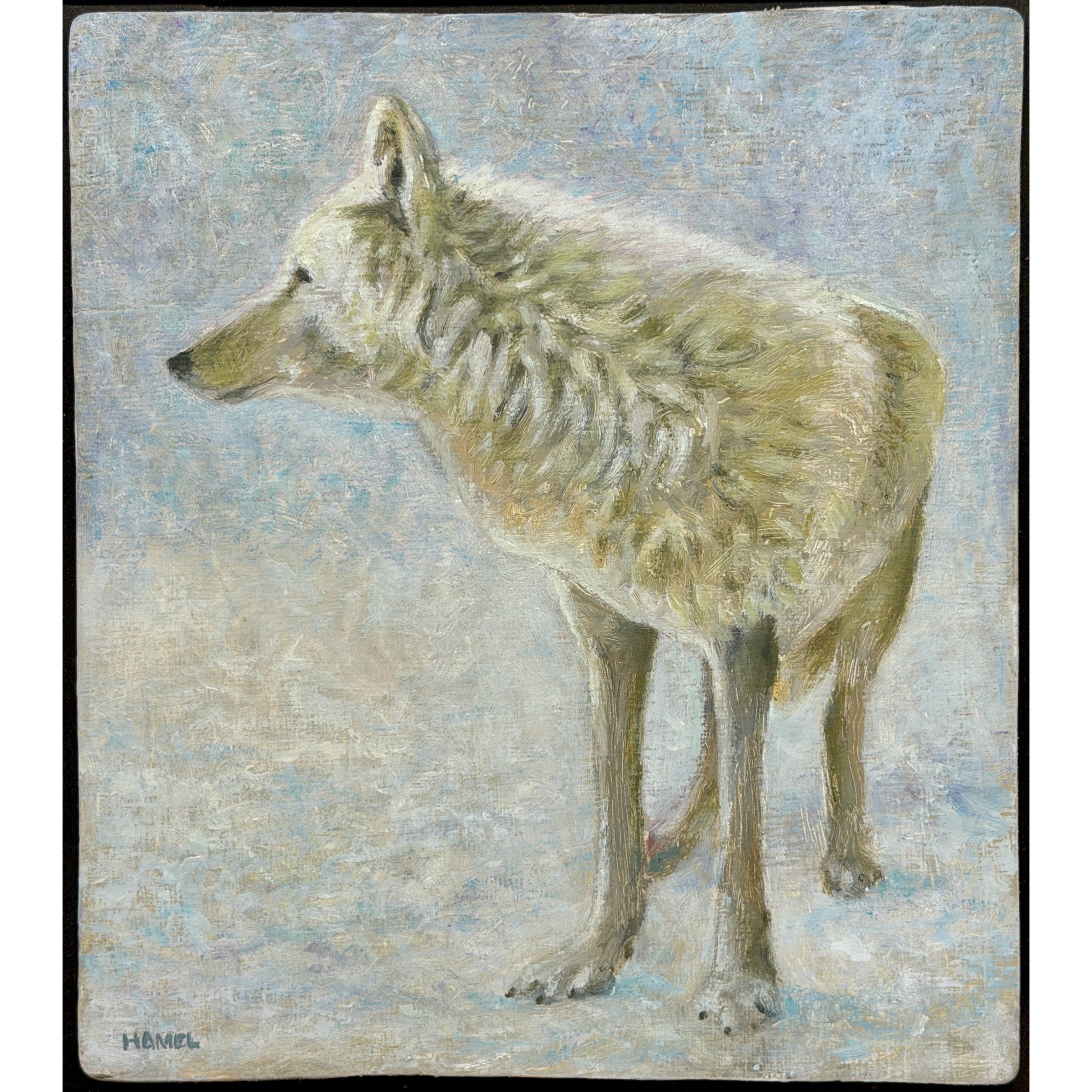 "Wolf #1"