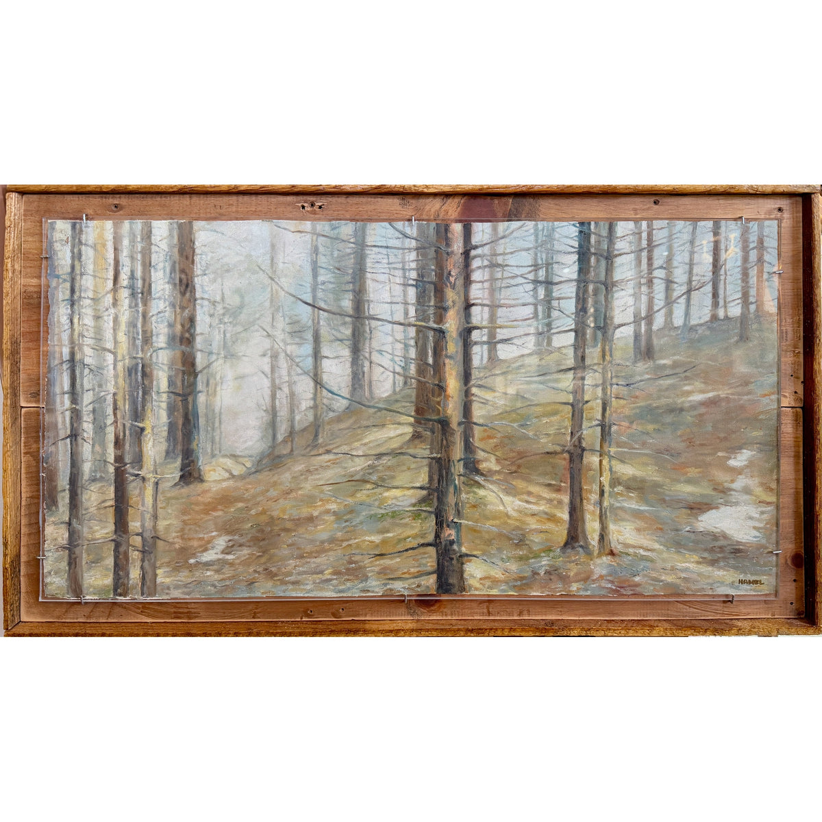 "Pine Forest"