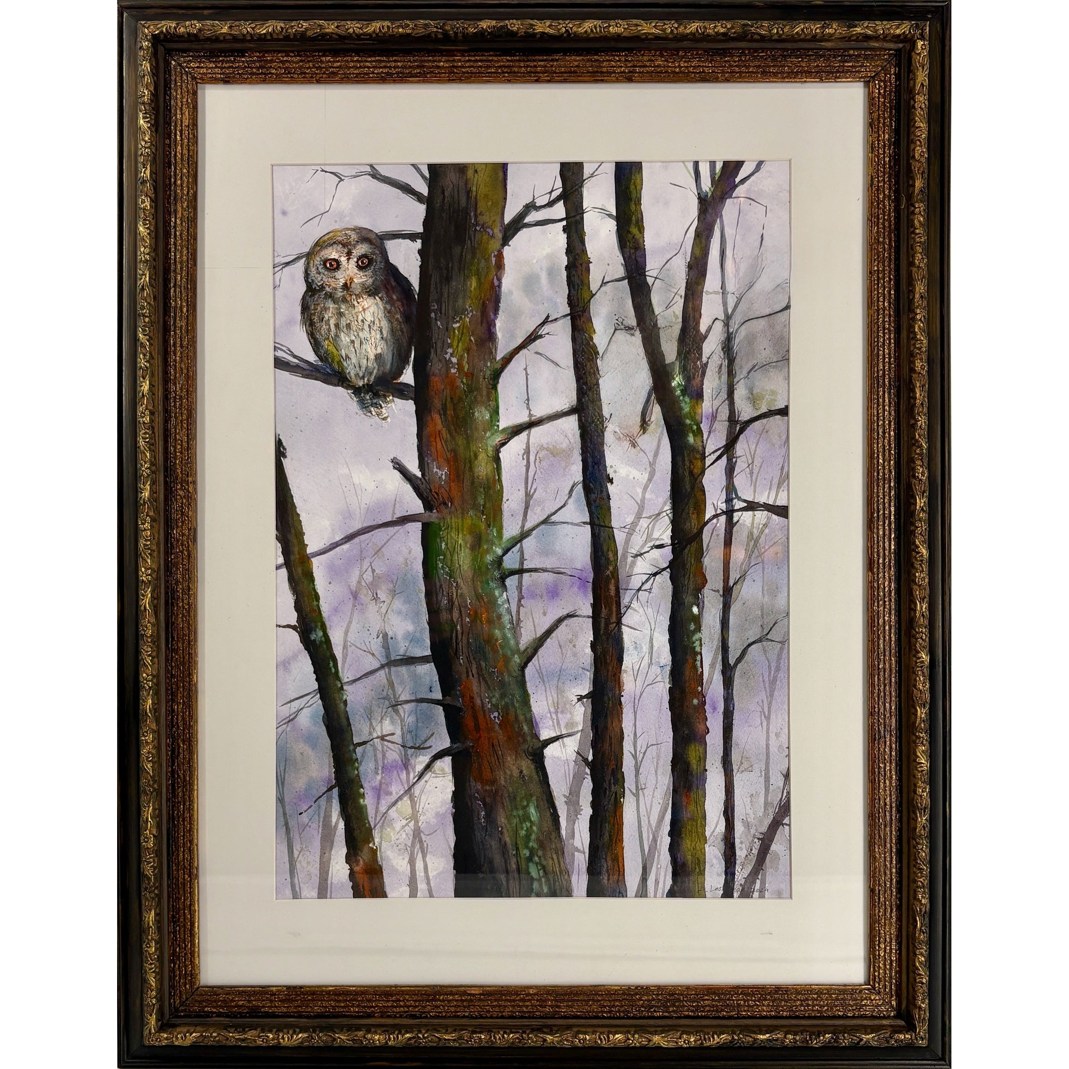 "Barred Owl" - Anne Leskovar