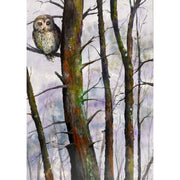 "Barred Owl" - Anne Leskovar