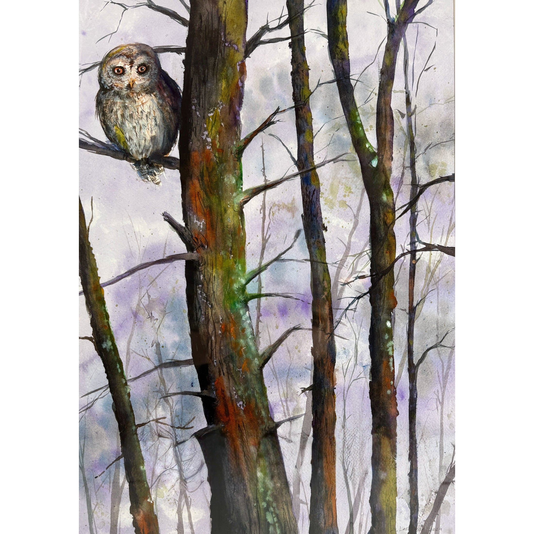 "Barred Owl" - Anne Leskovar