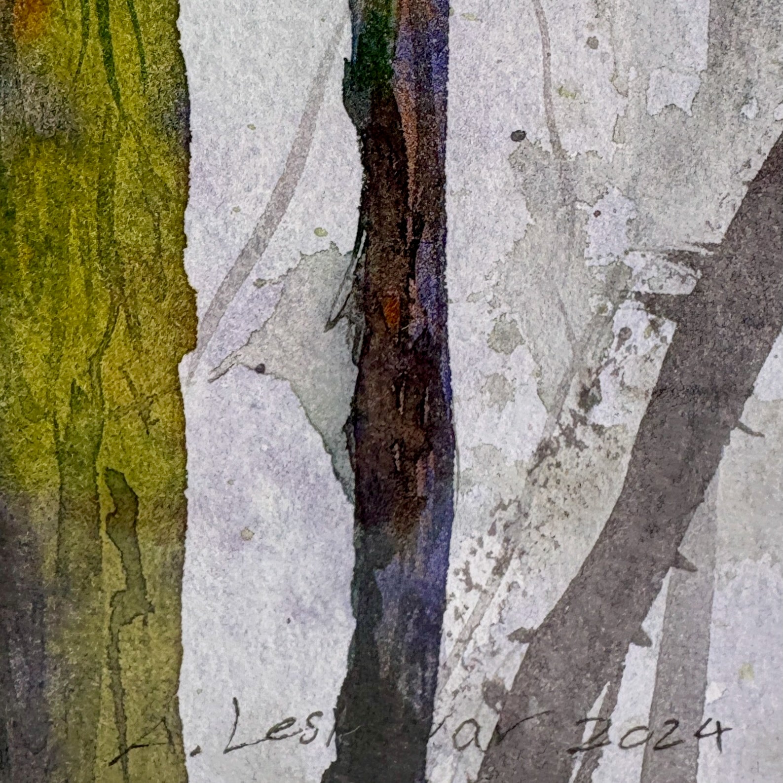 "Barred Owl" - Anne Leskovar