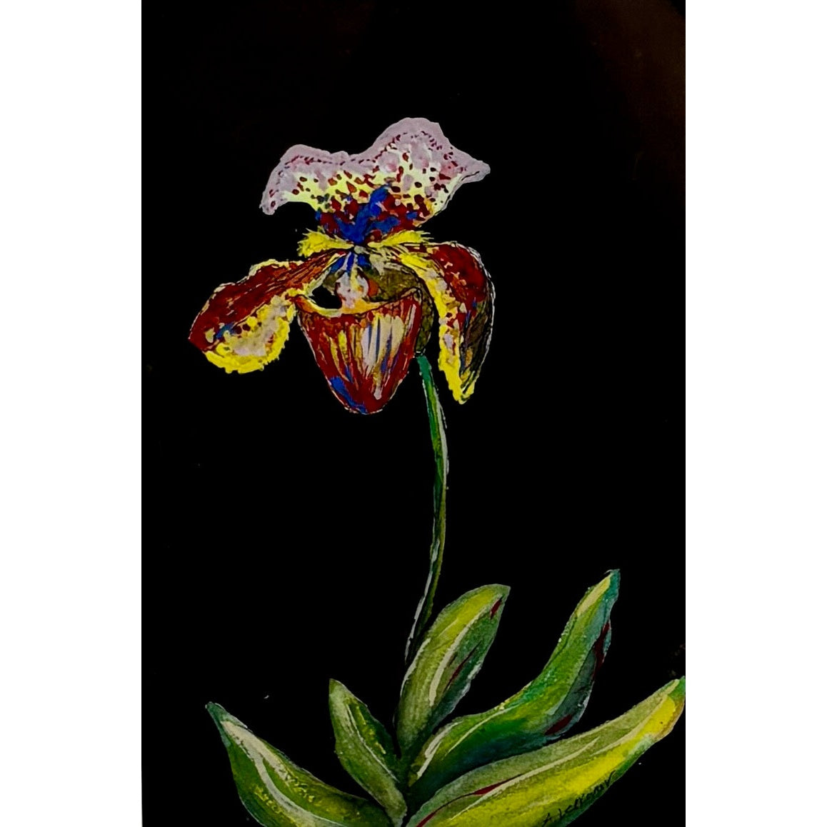 "Orchid" - Anne Leskovar