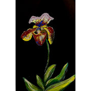 "Orchid" - Anne Leskovar